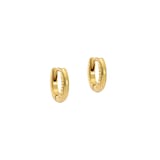 Ted Baker CRISETE Yellow Gold Coloured Logo Hoop Earrings