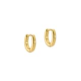 Ted Baker CRISETE Yellow Gold Coloured Logo Hoop Earrings