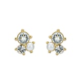 Ted Baker JOYAA Jewel Cluster Yellow Coloured Crystal Stud Earrings