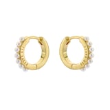 Ted Baker Persia Yellow Gold Coloured Pearl Huggie Hoop Earrings