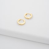 Ted Baker Persia Yellow Gold Coloured Pearl Huggie Hoop Earrings