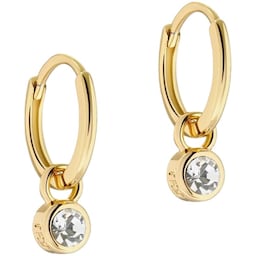 37240926 - SINALAA Yellow Gold Coloured Huggie Earrings