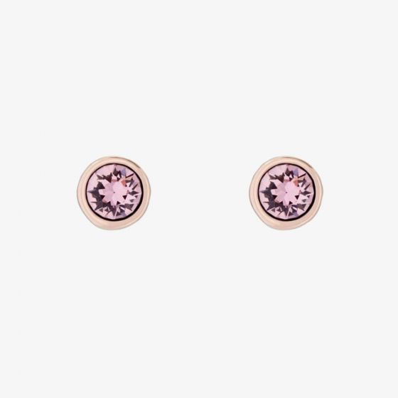 Ted Baker SINAA Rose Gold Coloured Crystal Stud Earrings