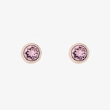 Ted Baker SINAA Rose Gold Coloured Crystal Stud Earrings