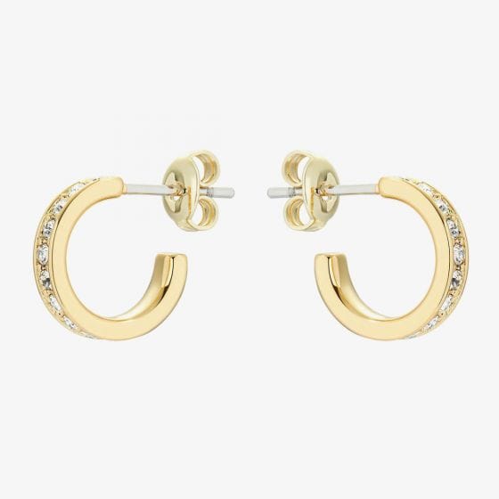 Ted Baker SEENITA Yellow Gold Coloured Nano Crystal Hoop Earrings