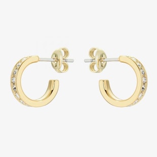 Ted Baker SEENITA Yellow Gold Coloured Nano Crystal Hoop Earrings