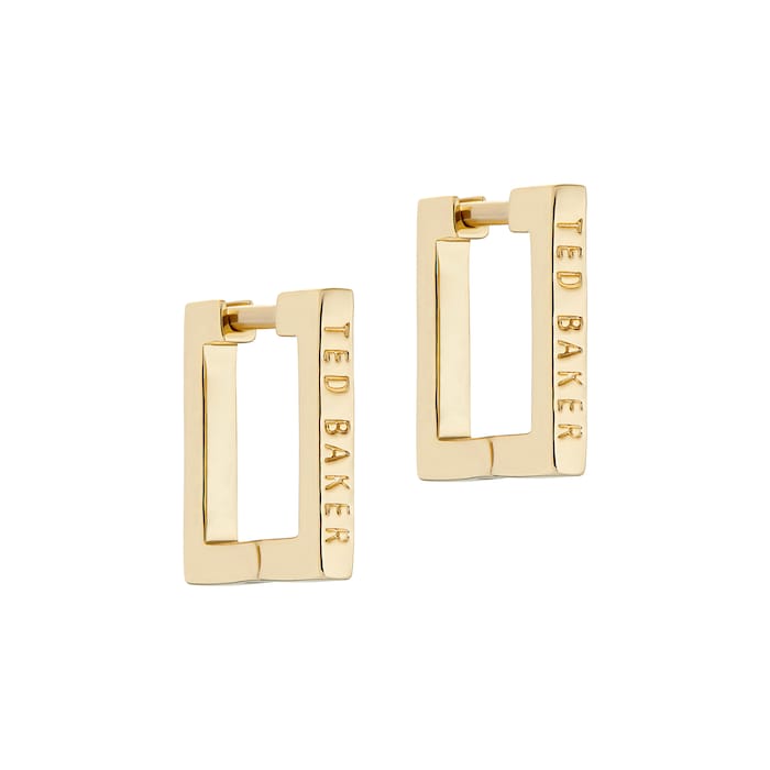 Ted Baker SENRII Yellow Gold Coloured Small Square Hinge Earrings