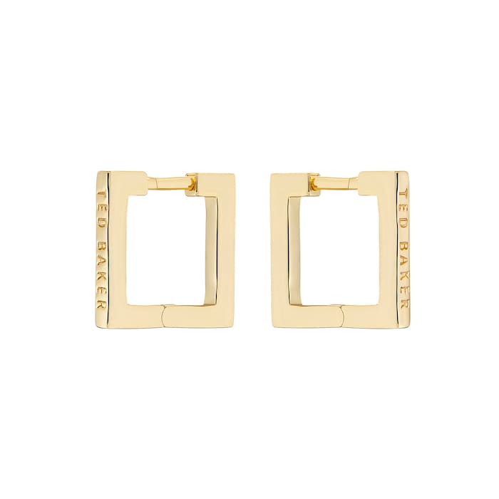 Ted Baker SENRII Yellow Gold Coloured Small Square Hinge Earrings