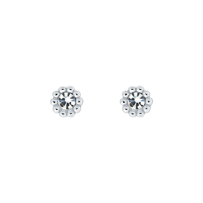 Ted Baker PERELLA Silver Tone Crystal Nano Stud Earrings