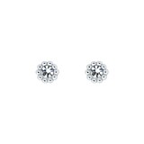 Ted Baker PERELLA Silver Tone Crystal Nano Stud Earrings