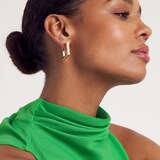 Ted Baker SAADIEY Yellow Gold Coloured Large Square Hinge Earrings