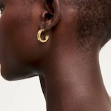 Ted Baker SENATTA Gold Coloured Crystal Hoop Earrings