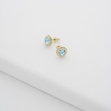 Ted Baker Soletia Yellow Gold Coloured Sparkle Crystal Stud Earrings