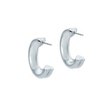 Ted Baker White Gold Coloured Hilya Hidden Heart Small Hoop Earrings