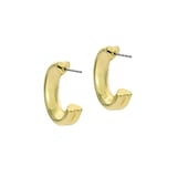 Ted Baker Yellow Gold Coloured Hilya Hidden Heart Small Hoop Earrings