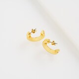 Ted Baker Yellow Gold Coloured Hilya Hidden Heart Small Hoop Earrings