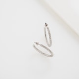 Ted Baker White Gold Coloured Clanci Cubic Zirconia Medium Hoop Earrings
