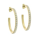 Ted Baker Yellow Gold Coloured Clanci Cubic Zirconia Medium Hoop Earrings