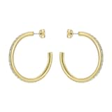 Ted Baker Yellow Gold Coloured Clanci Cubic Zirconia Medium Hoop Earrings