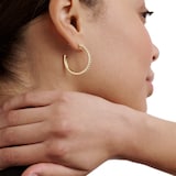 Ted Baker Yellow Gold Coloured Clanci Cubic Zirconia Medium Hoop Earrings