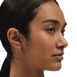 Ted Baker Yellow Gold Coloured Heplie Cubic Zirconia Huggie Hoop Earrings