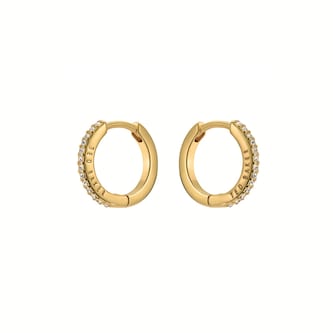 Ted Baker Yellow Gold Coloured Heplie Cubic Zirconia Huggie Hoop Earrings