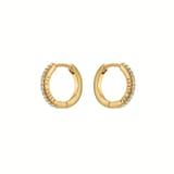 Ted Baker Yellow Gold Coloured Heplie Cubic Zirconia Huggie Hoop Earrings