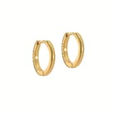 Ted Baker Yellow Gold Coloured Heplie Cubic Zirconia Huggie Hoop Earrings