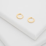 Ted Baker Yellow Gold Coloured Heplie Cubic Zirconia Huggie Hoop Earrings