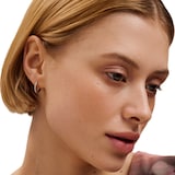 Ted Baker White Gold Coloured Heplie Cubic Zirconia Huggie Hoop Earrings