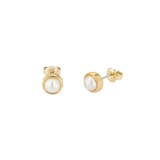 Ted Baker Yellow Gold Coloured Sinaa Pearl Stud Earrings