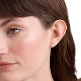 Ted Baker Yellow Gold Coloured Sinaa Pearl Stud Earrings