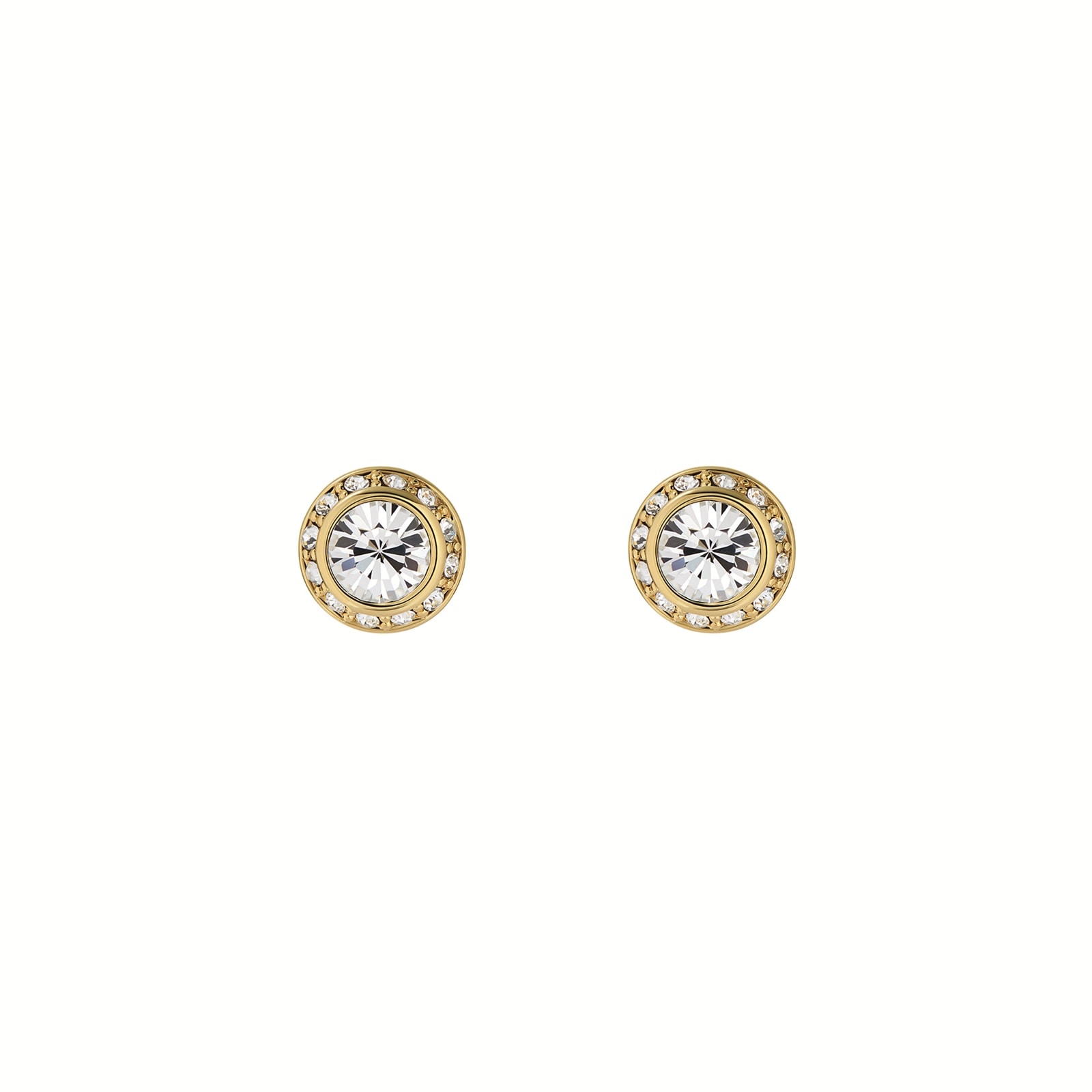 Ted Baker Yellow Gold Coloured Soletia Cubic Zirconia Stud Earrings