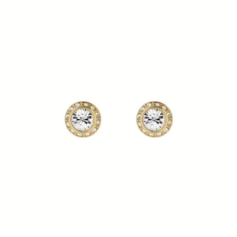 Ted Baker Yellow Gold Coloured Soletia Cubic Zirconia Stud Earrings Ted Baker Yellow Gold Coloured Soletia Cubic Zirconia Stud Earrings