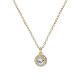 Ted Baker Yellow Gold Coloured Soltell Cubic Zirconia Pendant Necklace