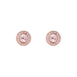 Ted Baker Rose Gold Coloured Soletia Cubic Zirconia Stud Earrings