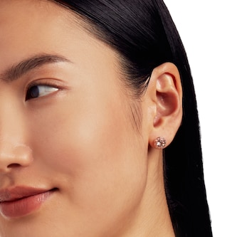 Ted Baker Rose Gold Coloured Soletia Cubic Zirconia Stud Earrings