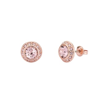 Ted Baker Rose Gold Coloured Soletia Cubic Zirconia Stud Earrings Ted Baker Rose Gold Coloured Soletia Cubic Zirconia Stud Earrings