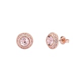 Ted Baker Rose Gold Coloured Soletia Cubic Zirconia Stud Earrings