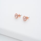 Ted Baker Rose Gold Coloured Soletia Cubic Zirconia Stud Earrings