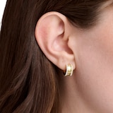 Ted Baker Yellow Gold Coloured Rosy Crystal Roll Huggie Hoop Earrings