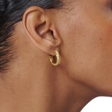 Ted Baker Yellow Gold Coloured Melanie Twisted Hoop Earrings