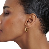 Ted Baker Yellow Gold Coloured Melanie Twisted Hoop Earrings