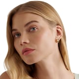 Ted Baker Yellow Gold Coloured RoloB Black Enamel Huggie Hoop Earrings