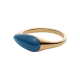 Skagen Sea Glass Gold Tone Stainless Steel Signet Ring