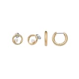 Skagen Agnethe Gold Tone Stainless Steel Earrings Set