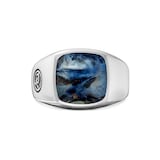 David Yurman Exotic Stone Signet Ring in Sterling Silver with Pietersite, 14mm