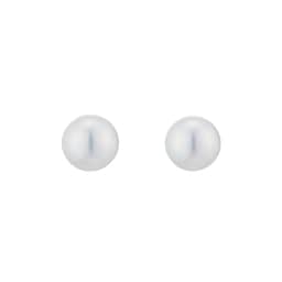 37401583 - Classic Collection 7x7.5mm Grade AA Akoya Pearl Stud Earrings
