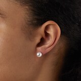 Mikimoto Classic Collection 8x8.5mm Grade AA Akoya Pearl Stud Earrings