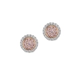 J Fine Platinum & 18K Rose Gold Argyle Pink™ Diamond Double Halo Stud Earrings